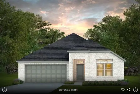 New construction Single-Family house 6916 Cliff Rose Dr, Spicewood, TX 78669 plan Elliott - image