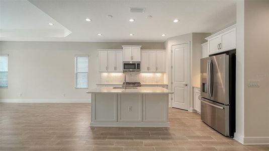 New construction Single-Family house 14560 Skipping Stone Lp, Parrish, FL 34219 plan Dream 2 - image 6