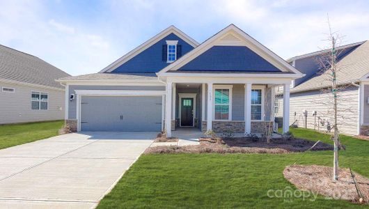 New construction Single-Family house 15 Fox Cove Rd, Hendersonville, NC 28792 - image