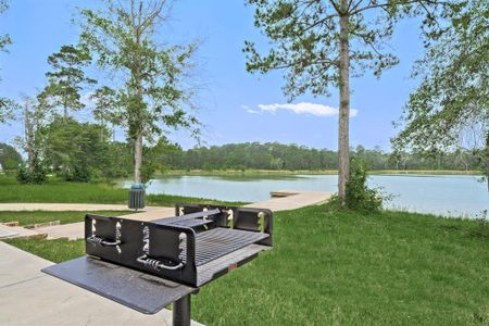 Lakes at Crockett Martin by Anglia Homes in Conroe - photo 3 3