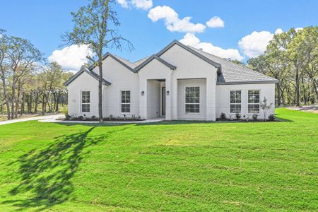 New construction Single-Family house Springtown, TX 76082 null- photo 0