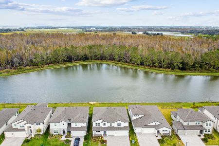 New construction Single-Family house 7819 Notched Pine Bnd, Wesley Chapel, FL 33545 Windsor- photo 157 157