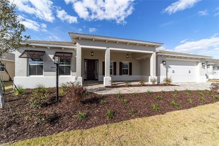New construction Single-Family house 10071 Sw 82Nd Place Rd, Ocala, FL 34481 - image