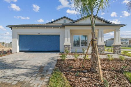 New construction Single-Family house 3064 Fall Harvest Dr, Zephyrhills, FL 33540 Picasso- photo 183 183