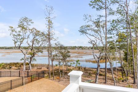 New construction Single-Family house 3554 Clambank Dr, Mount Pleasant, SC 29466 King- photo 58 58