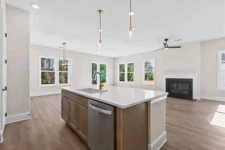 New construction Single-Family house 220 Vinca Circle NW, Kennesaw, GA 30144 plan Naples - image 8