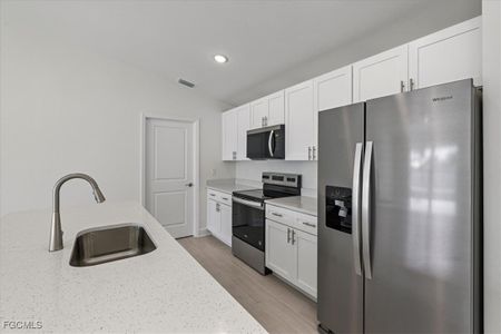 New construction Single-Family house 1106 Nw 16Th Ter, Cape Coral, FL 33993 plan The Tidewater - image 12