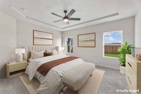 New construction Single-Family house 17133 Elder Walnut Dr, Elmendorf, TX 78112 plan Arlington - image 11
