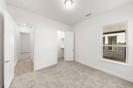 New construction Single-Family house 365 ELK Dr, Fate, TX 75189 plan Belton - image 15