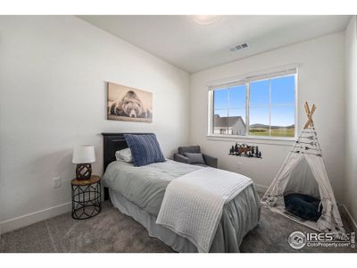 New construction Townhouse house 5001 Avon Ave, Loveland, CO 80538 - image 15