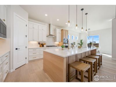 New construction Single-Family house 2996 Elk Lookout Dr, Loveland, CO 80538 plan Camden - image 11