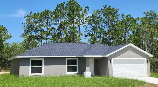 New construction Single-Family house 450 Nw Mandrake Dr, Dunnellon, FL 34431 plan Magnolia  - image