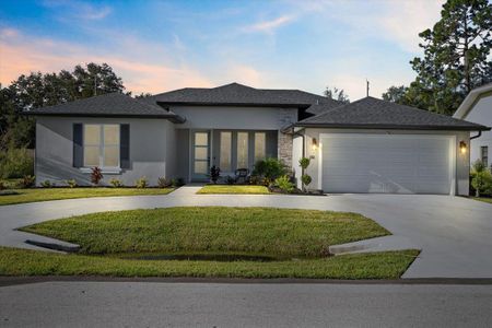 New construction Single-Family house 23 Slipper Flower Path E, Palm Coast, FL 32164 - photo 0