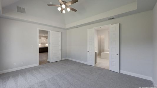 New construction Single-Family house 10118 Dapple Colt, San Antonio, TX 78254 Design 3206W- photo 19 19