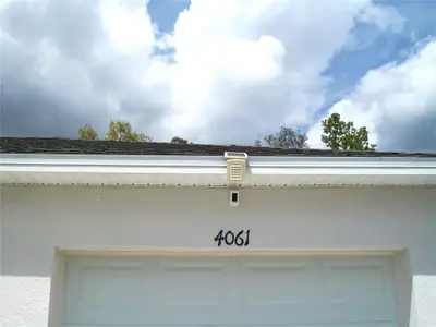 New construction Single-Family house 4061 Sw 133Rd Ln, Ocala, FL 34473 plan Palm - image 3