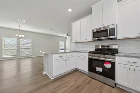 New construction Single-Family house 24718 Windward Birch Way Ct, Houston, TX 77336 - image 4