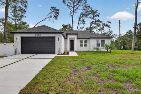 New construction Single-Family house 6000 Deltona Blvd, Spring Hill, FL 34606 - image