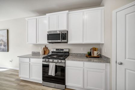 New construction Single-Family house 9039 Wafer Ash Bnd Nw, Aiken, SC 29801 plan Cooper - image 7