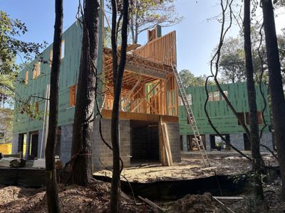 New construction Single-Family house 1726 Vireo Ct, Johns Island, SC 29455 - image 13