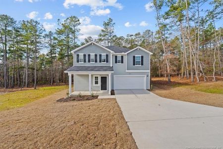 New construction Single-Family house 536 Blossom Trl, Lillington, NC 27546 plan Wayfare - image