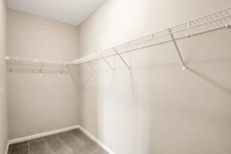 New construction Single-Family house 3480 Humphrey St, Green Cove Springs, FL 32043 plan Camden - Single Family Homes - image 19