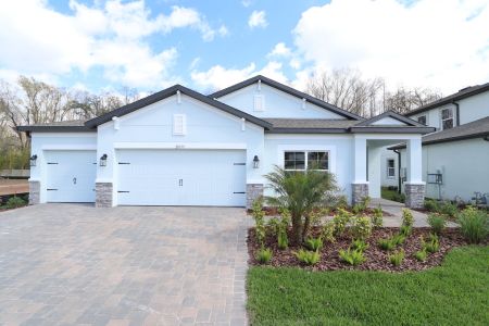 New construction Single-Family house 20339 Oriana Loop, Land O' Lakes, FL 34638 Newport II- photo 135 135