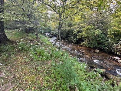 New construction Single-Family house 130 Cove View Ln, Clarkesville, GA 30523 - image 17
