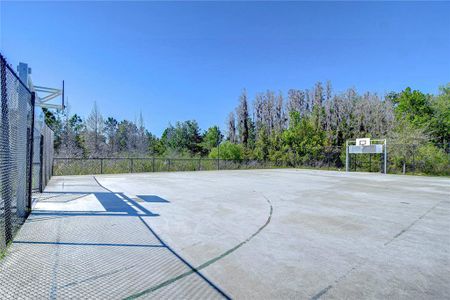 New construction Townhouse house 1291 Colt Creek Pl, Wesley Chapel, FL 33543 null- photo 13 13