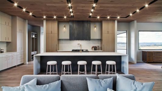 New construction Single-Family house 4888 Lions Paw St, Castle Rock, CO 80104 plan Pine - image 5