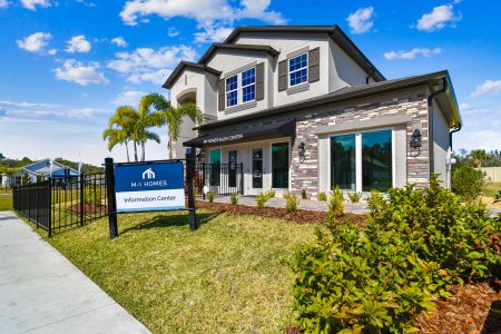 New construction Single-Family house 4969 Eagle Rock Dr, Wimauma, FL 33598 Mira Lago- photo 2 2