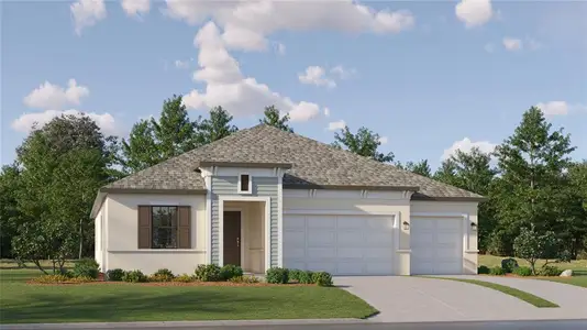 New construction Single-Family house 1054 Broward Dr, Zephyrhills, FL 33541 plan Denali - image