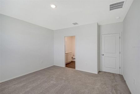 New construction Single-Family house 13028 Sassafras Trl, Parrish, FL 34219 - image 14