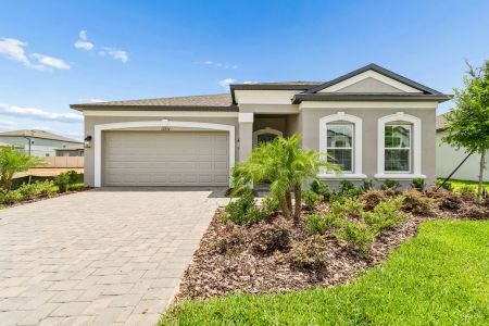 New construction Single-Family house 12274 Stirrup Dr, Dade City, FL 33525 plan Marque - image