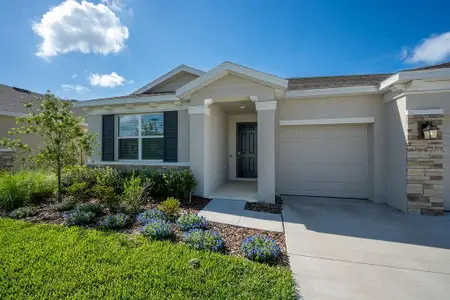 New construction Single-Family house 3115 Canopy Oak Blvd, Wildwood, FL 34785 - image