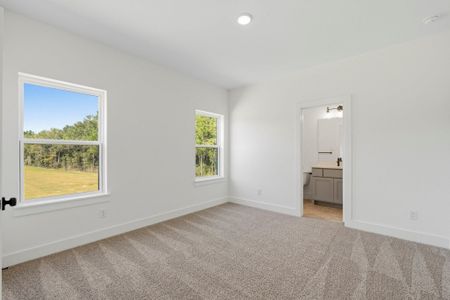 New construction Single-Family house 11978 Braided Mane St, Montgomery, TX 77316 - image 12