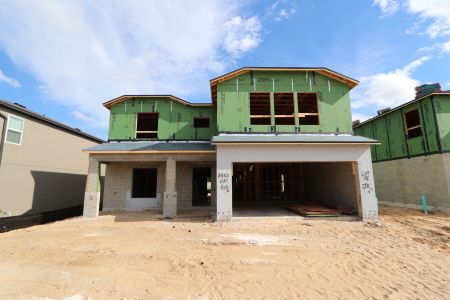 New construction Single-Family house 12146 Hilltop Farms Dr, Dade City, FL 33525 Cabo- photo 12 12