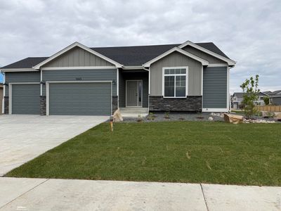 New construction Single-Family house 3163 Barley Grass Dr, Wellington, CO 80549 - image