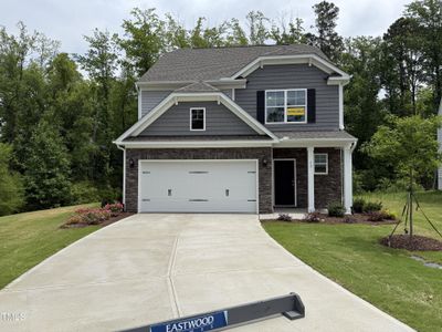 New construction Single-Family house 137 Stallion Way, Benson, NC 27504 Ellerbe- photo 0