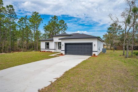 New construction Single-Family house 6660 N Waterman Dr, Dunnellon, FL 34433 null- photo 2 2