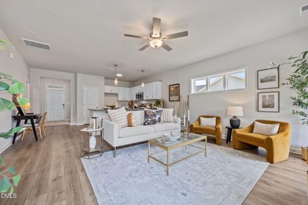 New construction Single-Family house 55 Malbec Wy, Youngsville, NC 27596 - image 13