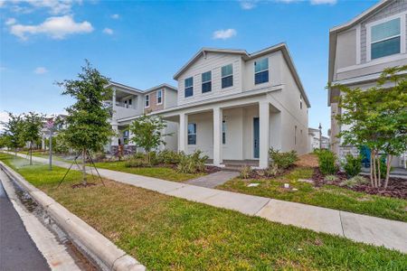 New construction Single-Family house 15174 Field Daisy Dr, Winter Garden, FL 34787 - image