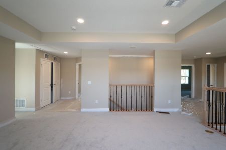 New construction Single-Family house 20125 Oriana Loop, Land O' Lakes, FL 34638 Santina II- photo 164 164