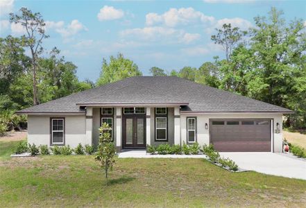 New construction Single-Family house 6 Whelan Pl, Palm Coast, FL 32164 - image