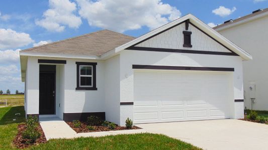 New construction Single-Family house 3181 Canopy Oak Blvd, Wildwood, FL 34785 null- photo 0