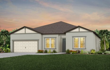 New construction Single-Family house 20876 Drake Elm Dr, Land O' Lakes, FL 34638 null- photo 2 2