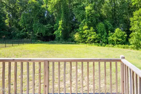 New construction Single-Family house 100 Disc Dr, Willow Spring, NC 27592 - image 3