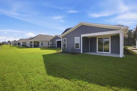 New construction Single-Family house 4037 Morning Dew Path, Leland, NC 28451 plan The Jasmine - image