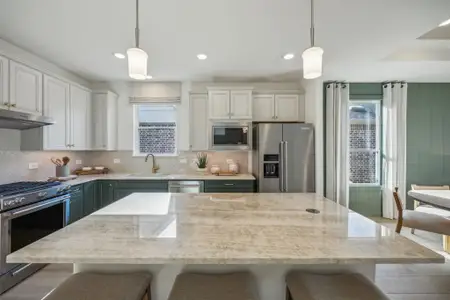 New construction Single-Family house 4309 Woods Ct, Celina, TX 75009 plan Contour - image 16