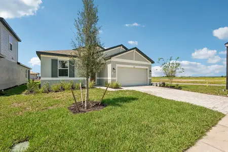 New construction Single-Family house 8705 Canard Cv, Palmetto, FL 34221 plan Augustine - image