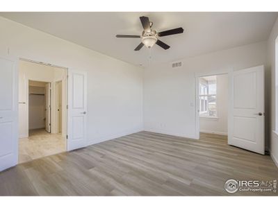 New construction Single-Family house 1854 Equinox Dr, Windsor, CO 80550 plan Plan C417 - image 16